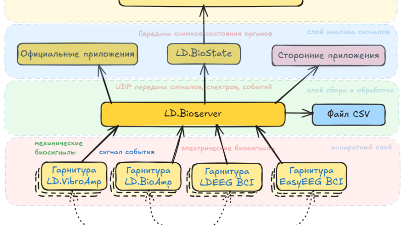 Нейроинтерфейсная сеть LD.Biomon