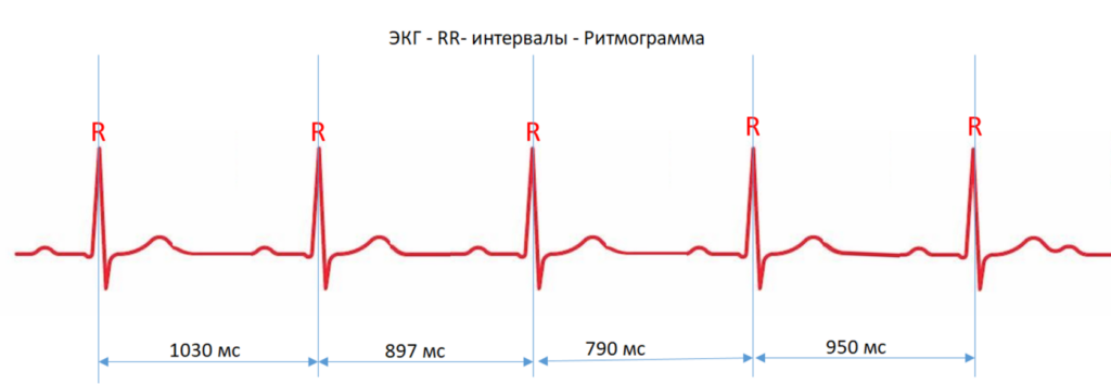 Контроль сердца в LD.BioState для профилактического мониторинга